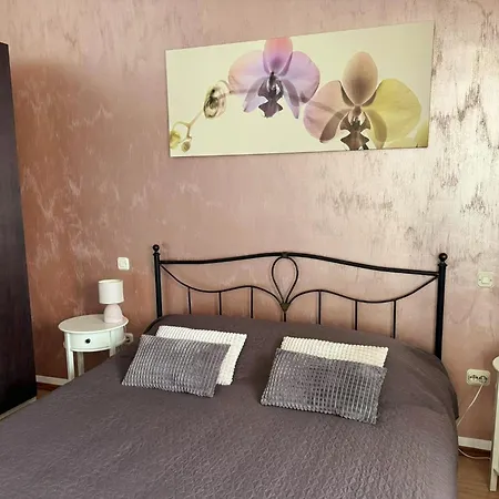 Ana Rita For 6 People - Beautiful Rustical With Heated Pool & Jacuzzi In Istria *